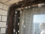 窓のクモの巣清掃