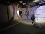浴室下の空洞部スコープによるネズミ侵入経路調査