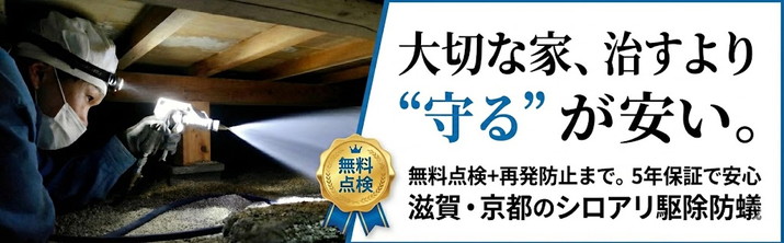 シロアリ駆除