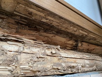 シロアリによる玄関の上がり框被害