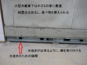 ２４大型冷蔵庫下はネズミ侵入禁止①