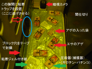 クマネズミの弱点と人間の弱点 有 美鈴環境サービス クマネズミの弱点と人間の弱点 有 美鈴環境サービス