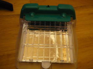 %e3%83%8e%e3%83%9f%e6%8d%95%e3%82%8a%e3%82%ad%e3%83%a3%e3%83%83%e3%83%81%e3%83%a3%e3%83%bc%ef%bc%92