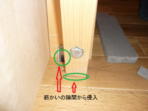 %e7%ad%8b%e3%81%8b%e3%81%84%e9%9a%99%e9%96%93%e3%81%8b%e3%82%89%e3%83%8d%e3%82%b3%e3%83%8e%e3%83%9f%e4%be%b5%e5%85%a5