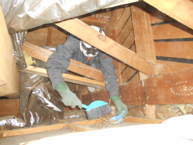 屋根裏や床下の掃除をおすすめするワケ 有 美鈴環境サービス