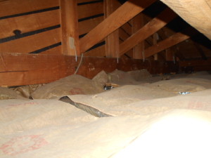 屋根裏鳥の巣除去清掃２