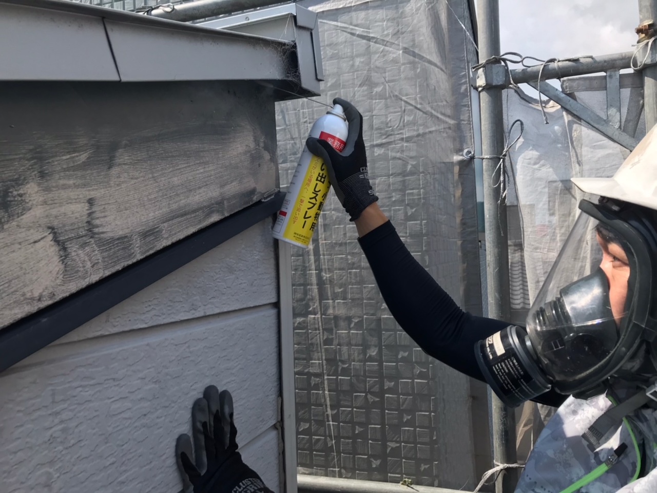 コウモリ 有 美鈴環境サービス