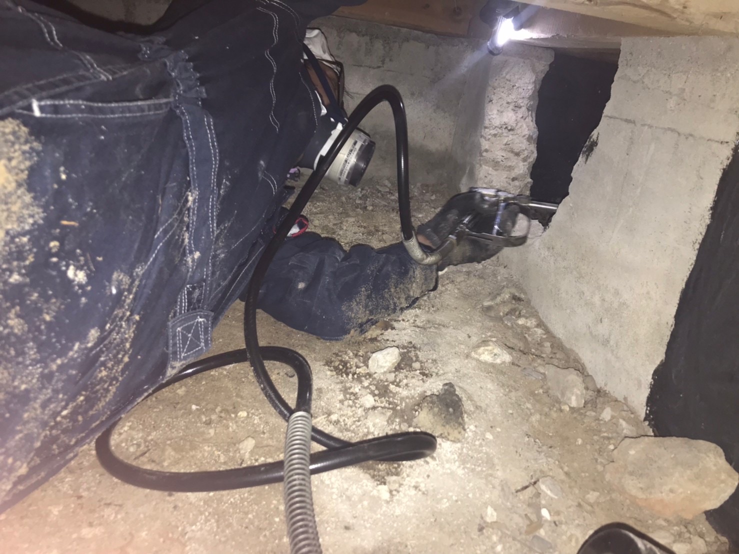 戸建和室のゴキブリ駆除 有 美鈴環境サービス