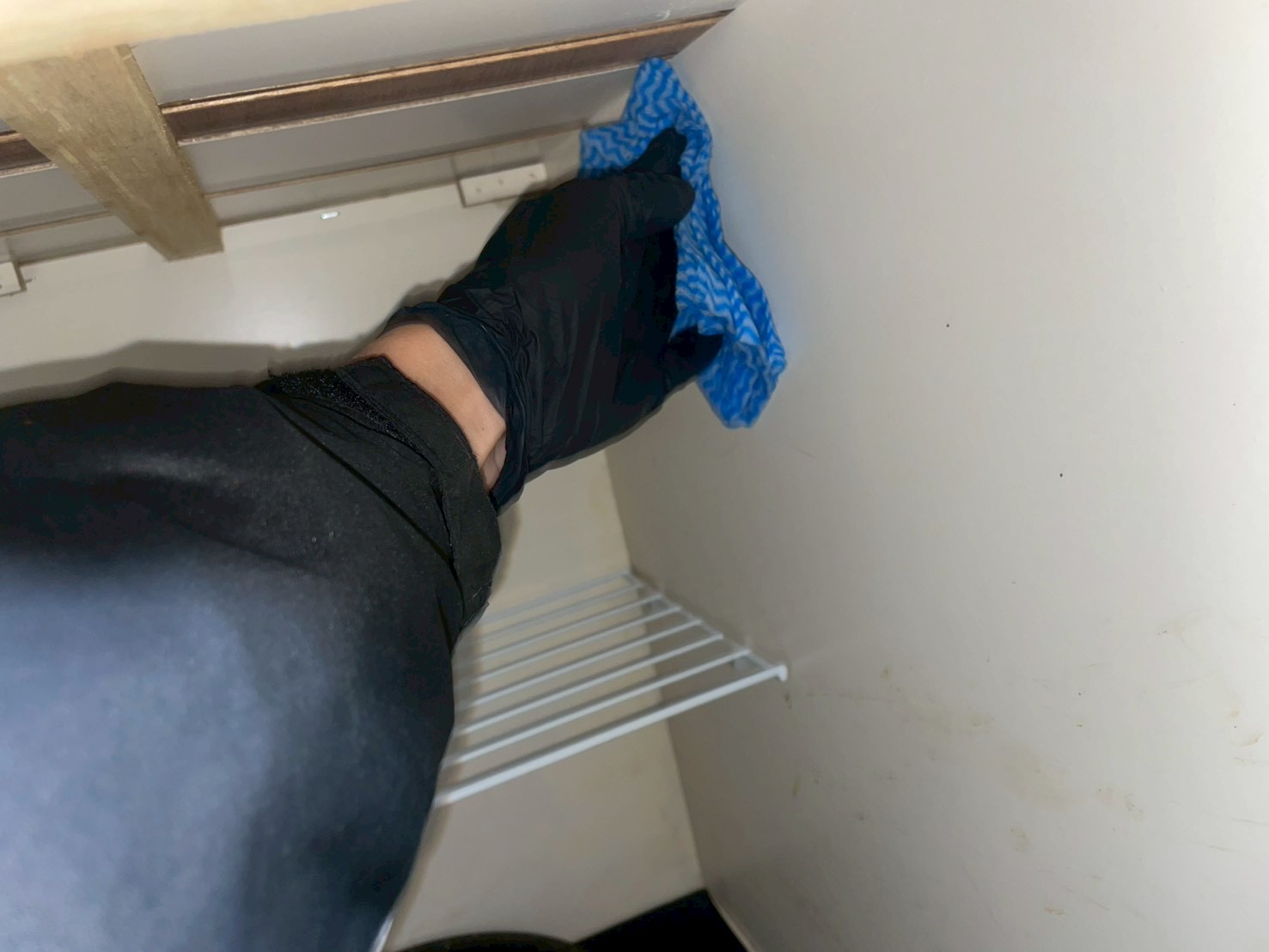 「滋賀・京都でゴキブリ繁殖!? 外国人入居による衛生トラブルとプロの対策法」