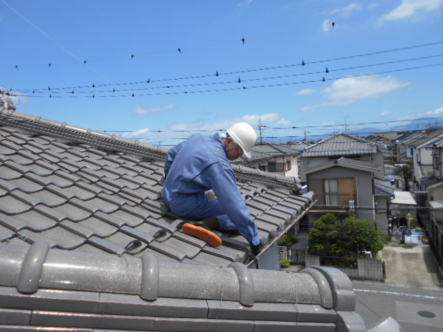 【2025年を象徴する“熊”】深刻化する鳥獣被害に、美鈴環境サービスができること