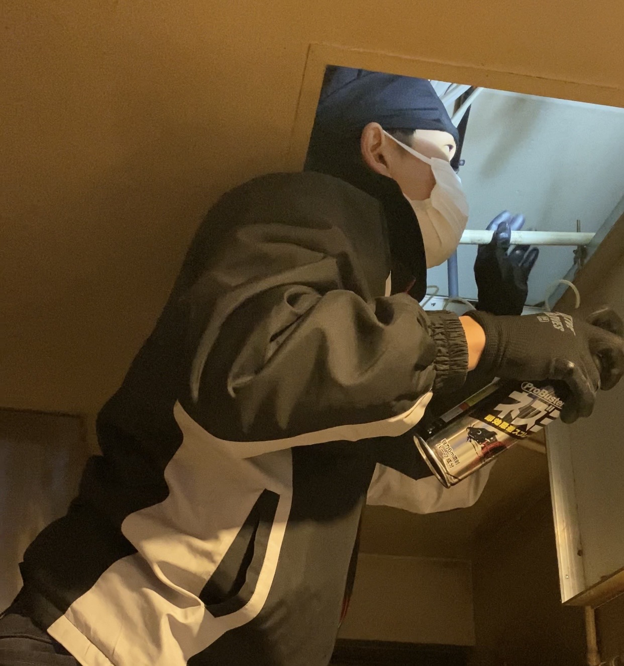 クマネズミの駆除は冬こそ要注意！粘着シートにかからなくなっても安心は禁物｜滋賀・京都対応