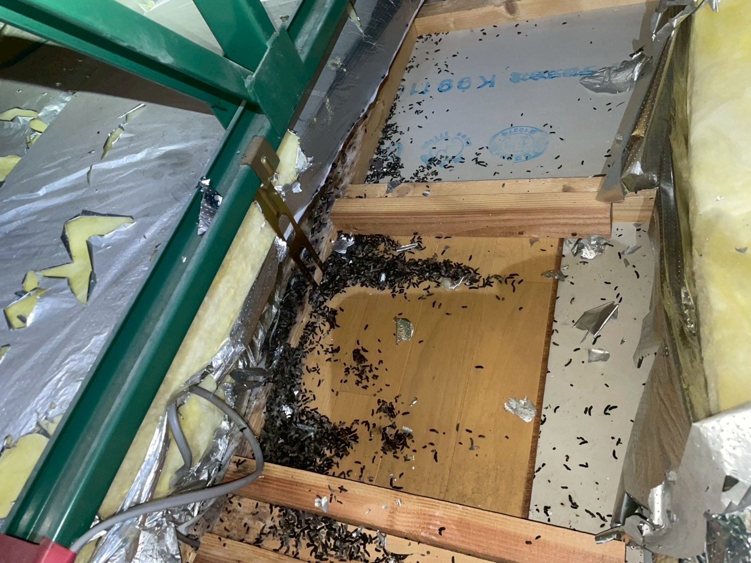 【滋賀】コウモリの糞清掃・消毒とドバト対策はプロに任せて再発防止｜美鈴環境サービス（満足保証）